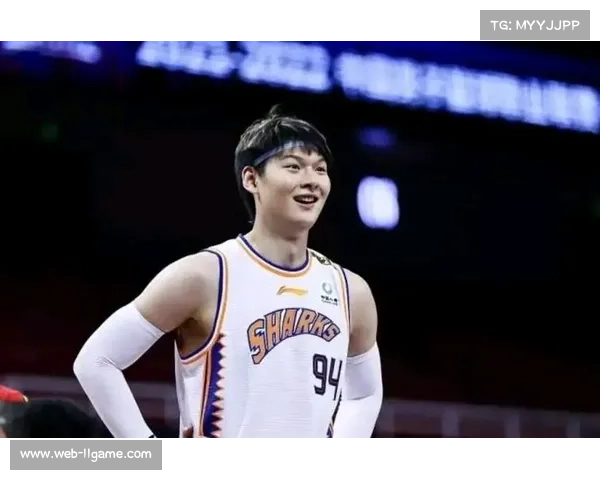 王哲林遭队友误伤倒地后坚持比赛,展现职业球员坚韧品质 王哲林遭队友误伤倒地后坚持比赛,展现职业球员坚韧品质